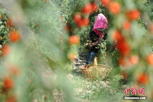 c56d552300c74a8eaf4f4993924856f1