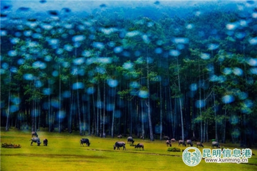 李华海：窗外风景