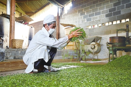 20180711A08_res03_attpic_brief 20180711A08_res03_attpic_brief