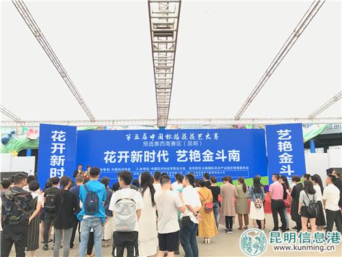 比赛现场。实习记者刘雄斌 摄 比赛现场。实习记者刘雄斌 摄