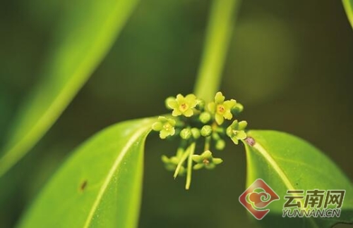 00300019903_3f03d5e7