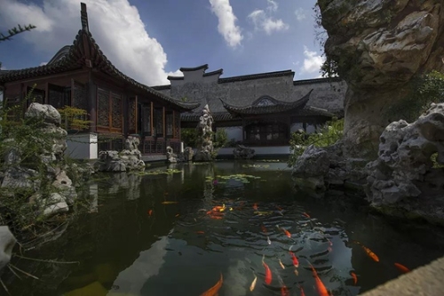 震泽魅力夜色唤起江南思绪万千