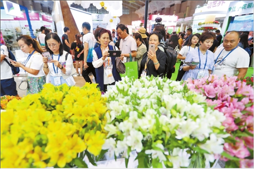 QQ截图201807140930593