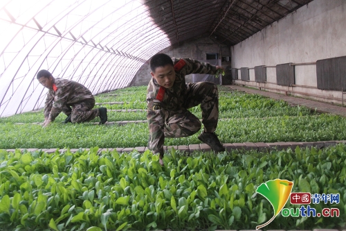 W020180716485210625212