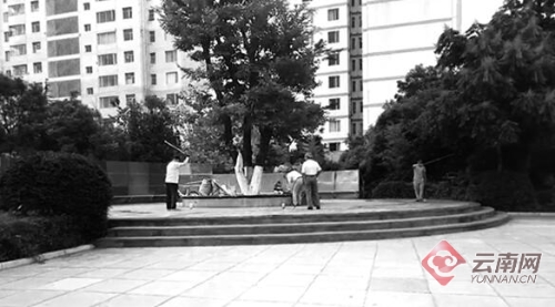 00300026483_61ce755b