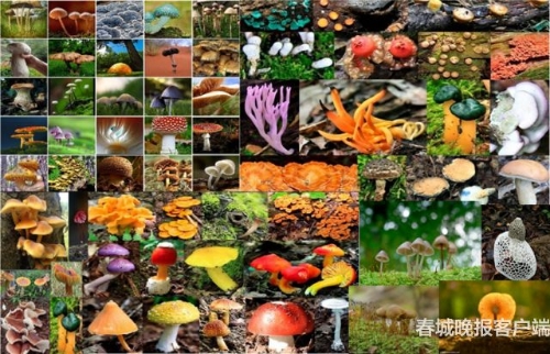 20180718194113S7I51M 20180718194113S7I51M