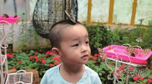 00300028531_a0ebbaf6