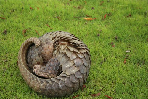 微信图片_20180724141028.jpg 微信图片_20180724141028.jpg