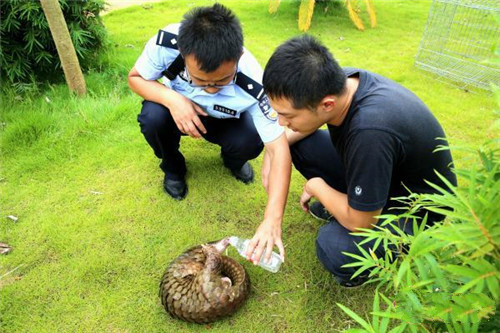 微信图片_20180724141035.jpg 微信图片_20180724141035.jpg