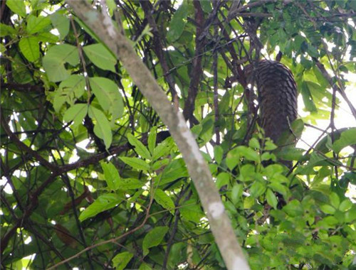 微信图片_20180724141043.jpg 微信图片_20180724141043.jpg