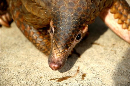 微信图片_20180724141046.jpg 微信图片_20180724141046.jpg