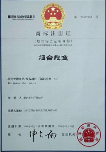 00300475785_97699327 00300475785_97699327