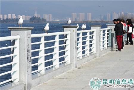 5a7100ff5ab98 5a7100ff5ab98