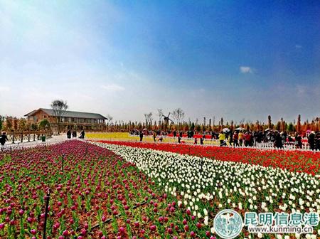 5ab32ddde5b53 5ab32ddde5b53