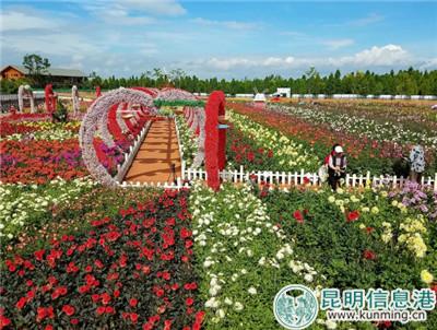 5b55dcab49543 5b55dcab49543