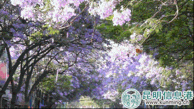 5b0129a77ff24 5b0129a77ff24