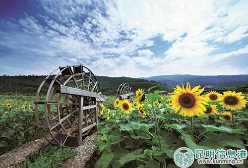 1469891313 1469891313