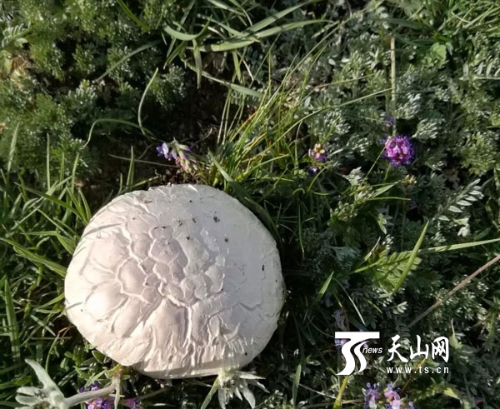 00350390076_b28ed9ca 00350390076_b28ed9ca