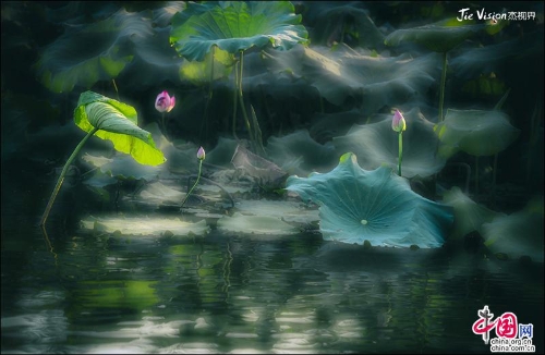 0f0bff12-178a-41d8-a351-8e89b7ebbb8e_batchwm 0f0bff12-178a-41d8-a351-8e89b7ebbb8e_batchwm