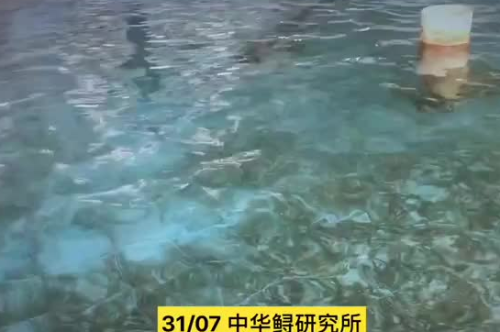 QQ截图20180801103627