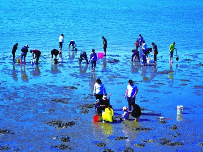 赶海拾贝_b 赶海拾贝_b