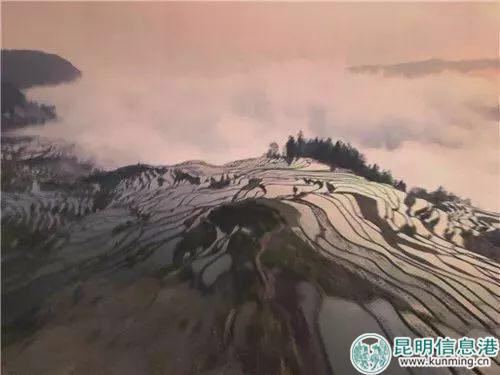 微信图片_20180802180037