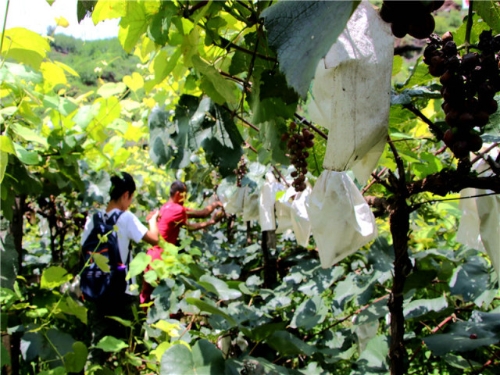 201808081629471da631b0bc44c51461d72aafdd3af30ed 201808081629471da631b0bc44c51461d72aafdd3af30ed