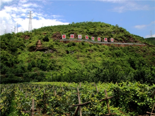 20180808162946135bfaee1f489b198d988f46bfeb1164b 20180808162946135bfaee1f489b198d988f46bfeb1164b