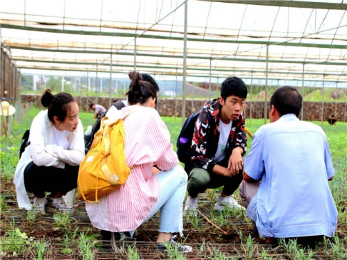 20180808162947163b60ed9da600071daeebedf568359a5 20180808162947163b60ed9da600071daeebedf568359a5