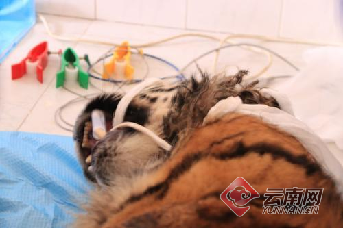 00300057922_d63c51b5