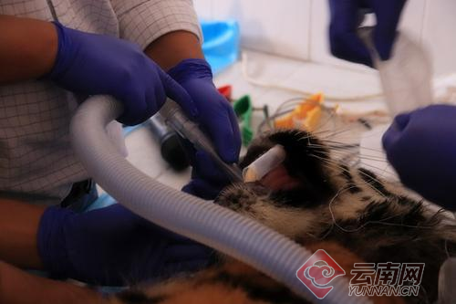 00300057924_4529f8a9