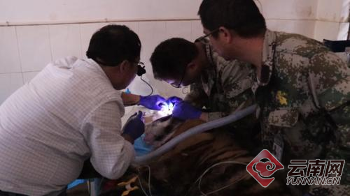 00300057925_372c6d15