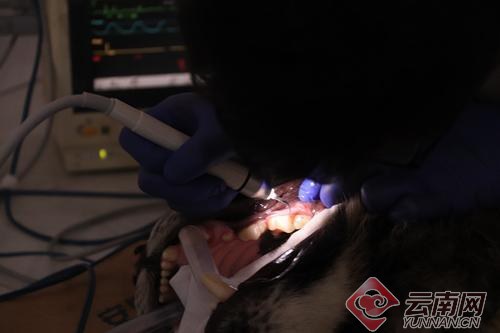 00300057926_06c5a01a