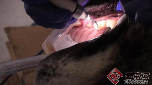 00300057927_a89adf89