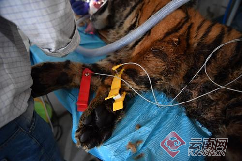 00300057928_21d6bb9b