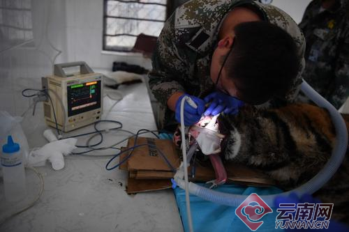 00300057929_dadc3f38