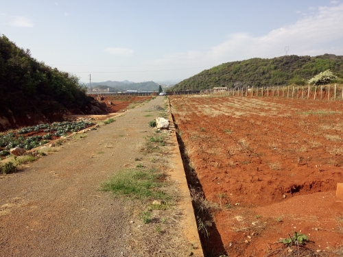 mmexport1533731554071 mmexport1533731554071