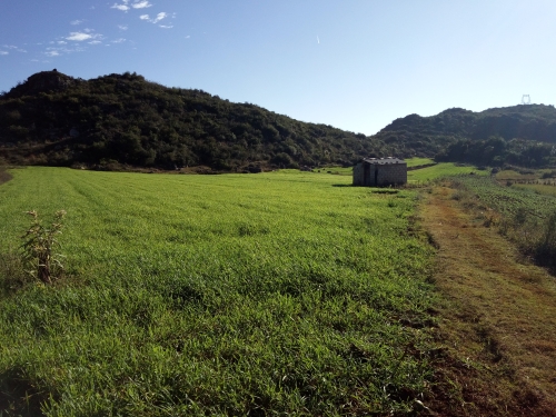 mmexport1533731571770 mmexport1533731571770