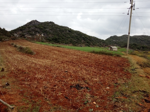 mmexport1533731575489 mmexport1533731575489