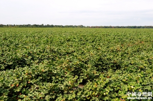 W020180814422036472357