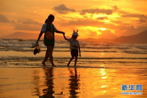 1123261033_15341287495551n (1)