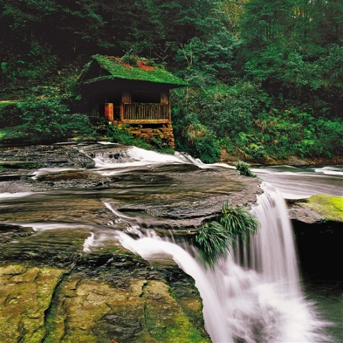 2cbb015c-99b5-4855-b01b-61646cd4cfd2