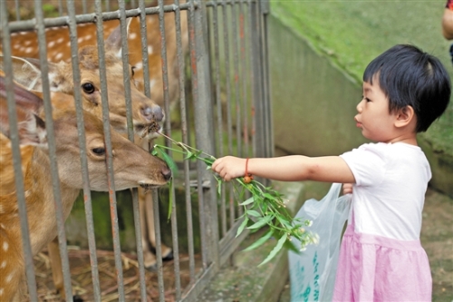 355cfb0c-0404-4199-a9a0-2ecd1548c318 355cfb0c-0404-4199-a9a0-2ecd1548c318