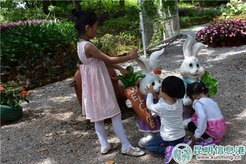 动物模型造景收到小朋友的青睐。实习记者 张乐凡 摄 动物模型造景收到小朋友的青睐。实习记者 张乐凡 摄