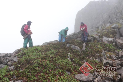 00300066371_a1851704