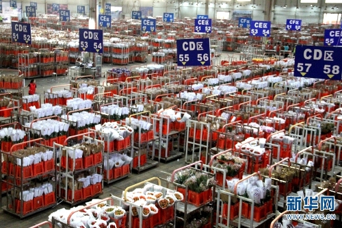 昆明花拍中心，等待交易的各类鲜切花。新华网念新洪摄