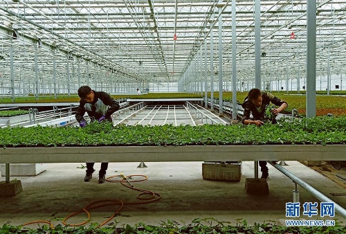 1123291818_15346442477341n (1)