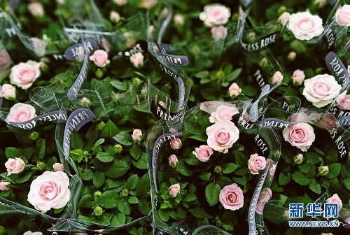 1123291818_15346442476191n