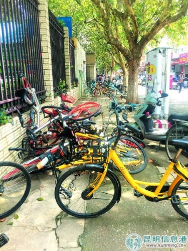 碧江路上共享单车扎堆人行道