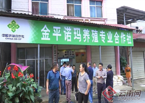 00300075519_b9812d41